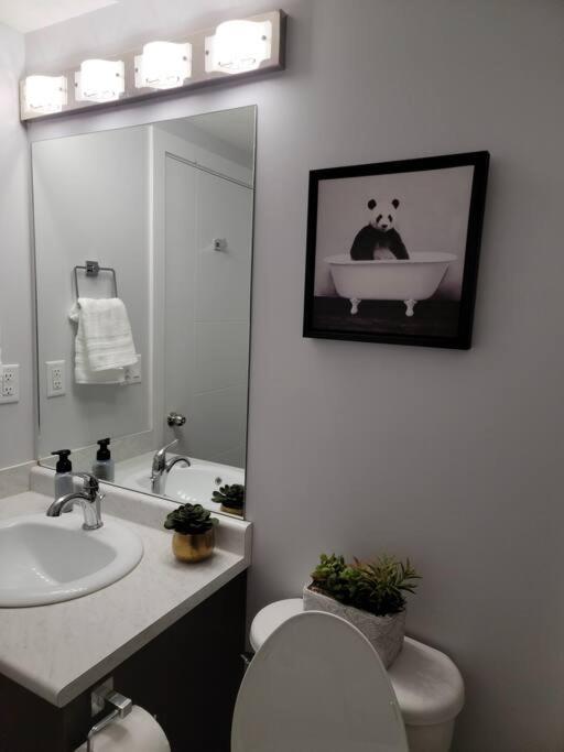 Exquisite Guest Suite In Σασκάτουν Εξωτερικό φωτογραφία